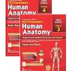 BD Chaurasias Human Anatomy 9th Edition 4 Volume Set - Image 3