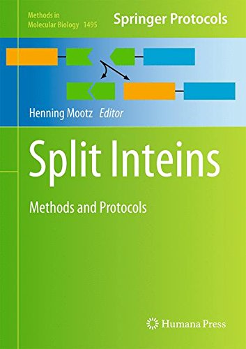 Split Inteins Methods and Protocols