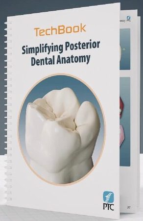 Simplifying Posterior Dental Anatomy