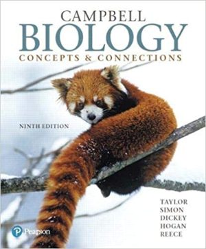 The sensory ecology of birds