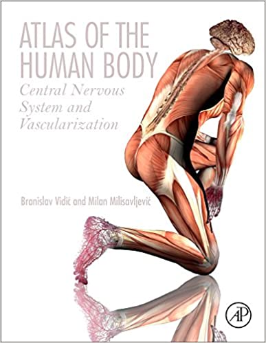 Atlas Of The Human Body Central Nervous System And Vascularization