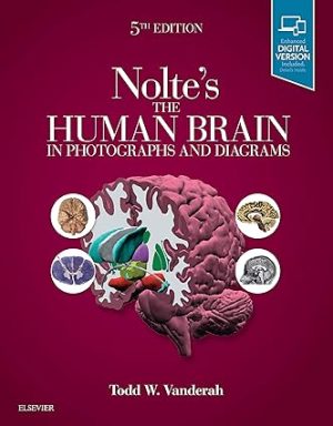 Noltes The Human Brain in Photographs and Diagrams 5th Edition
