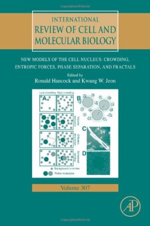 New Models of the Cell Nucleus Crowding Entropic Forces Phase Separation and Fractals