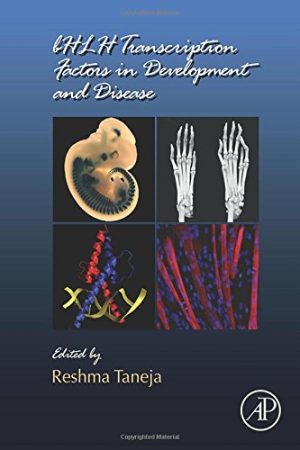 bHLH Transcription Factors in Development and Disease