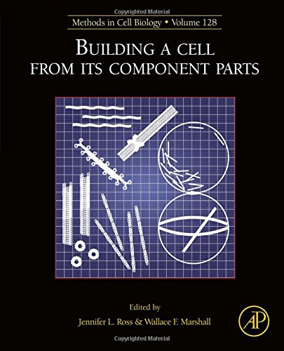 Building a cell from its component parts