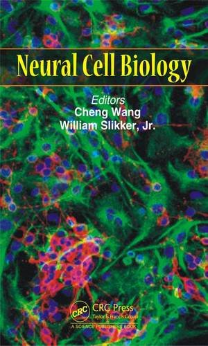 Neural cell biology