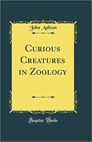 Curious Creatures In Zoology