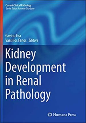 Kidney Development in Renal Pathology