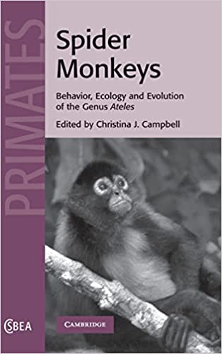 Spider Monkeys Behavior Ecology and Evolution of the Genus Ateles