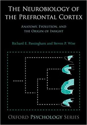 The Neurobiology of the Prefrontal Cortex Anatomy Evolution and the Origin of Insight