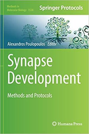 Synapse Development Methods and Protocols