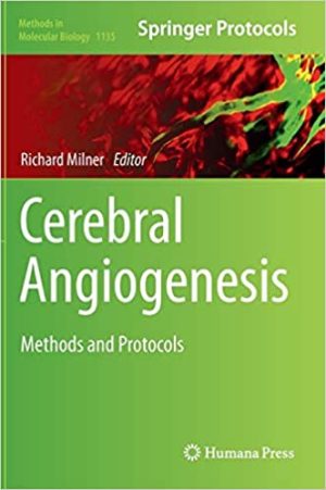 Cerebral Angiogenesis Methods and Protocols