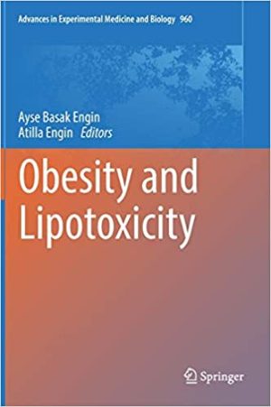 Obesity and Lipotoxicity