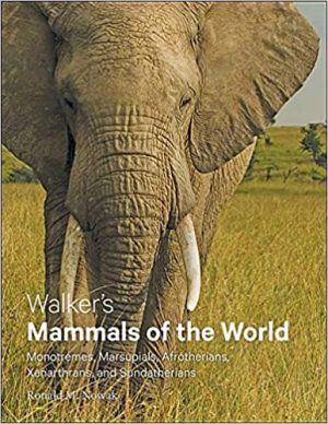 Walkers Mammals of the World Monotremes Marsupials Afrotherians Xenarthrans And Sundatherians