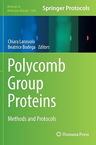 Polycomb Group Proteins Methods and Protocols