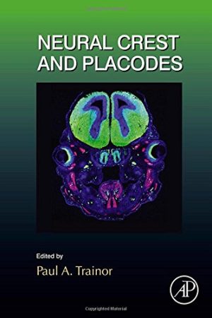 Neural crest and placodes