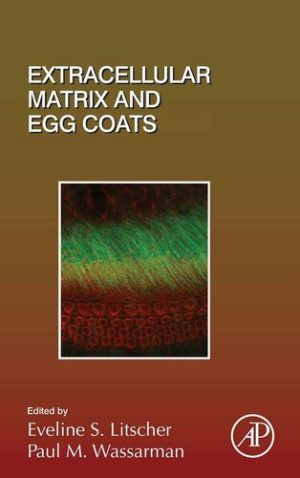 Extracellular Matrix and Egg Coats