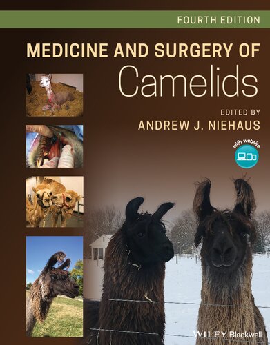 Medicine and Surgery of Camelids 4th Edition