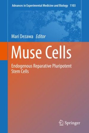 Muse Cells Endogenous Reparative Pluripotent Stem Cells