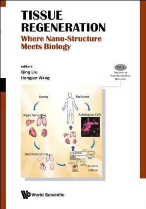 Tissue Regeneration Where Nano Structure Meets Biology