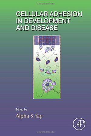 Cellular Adhesion in Development and Disease