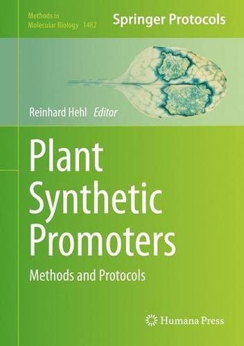 Plant Synthetic Promoters Methods and Protocols