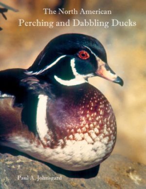 The North American Perching and Dabbling Ducks Their Biology and Behavior